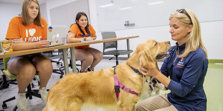 Professor with students and golden retriever dog in classroom.