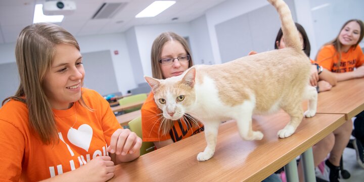 Students with cat.