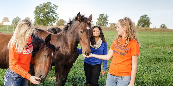Students with a horse at the broodmare farm.